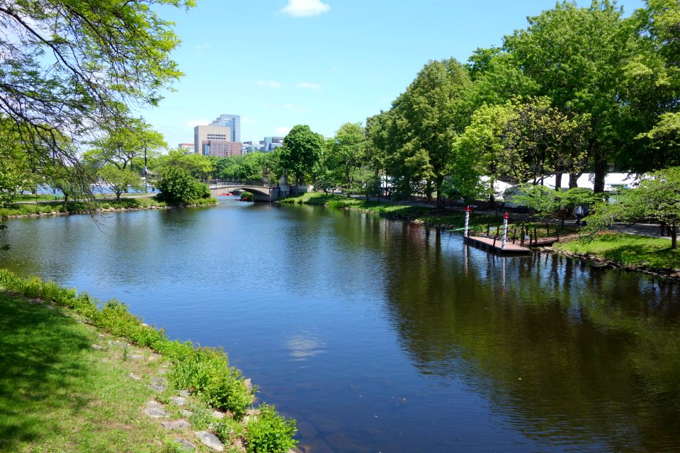 Charles River Esplanade - Boston, MA - DSC02605