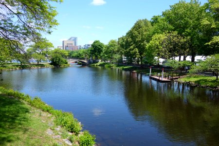 Charles River Esplanade - Boston, MA - DSC02605 photo