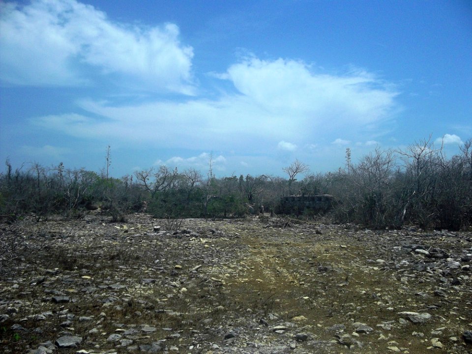 Chicxulub Puerto, Yucatán (25)