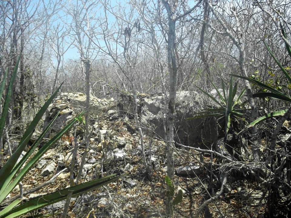 Chicxulub Puerto, Yucatán (18)