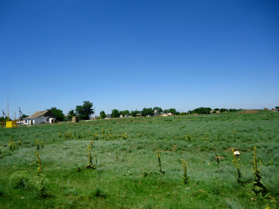 ChekhovoCr 5
