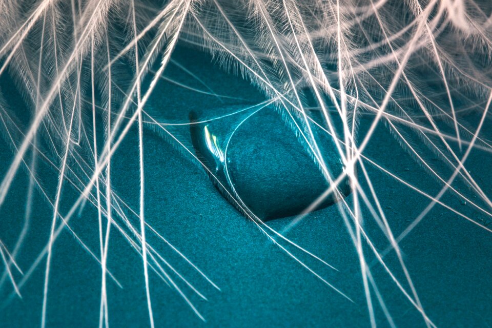 Macro background drop of water