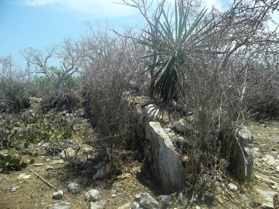Chicxulub Puerto, Yucatán (23)