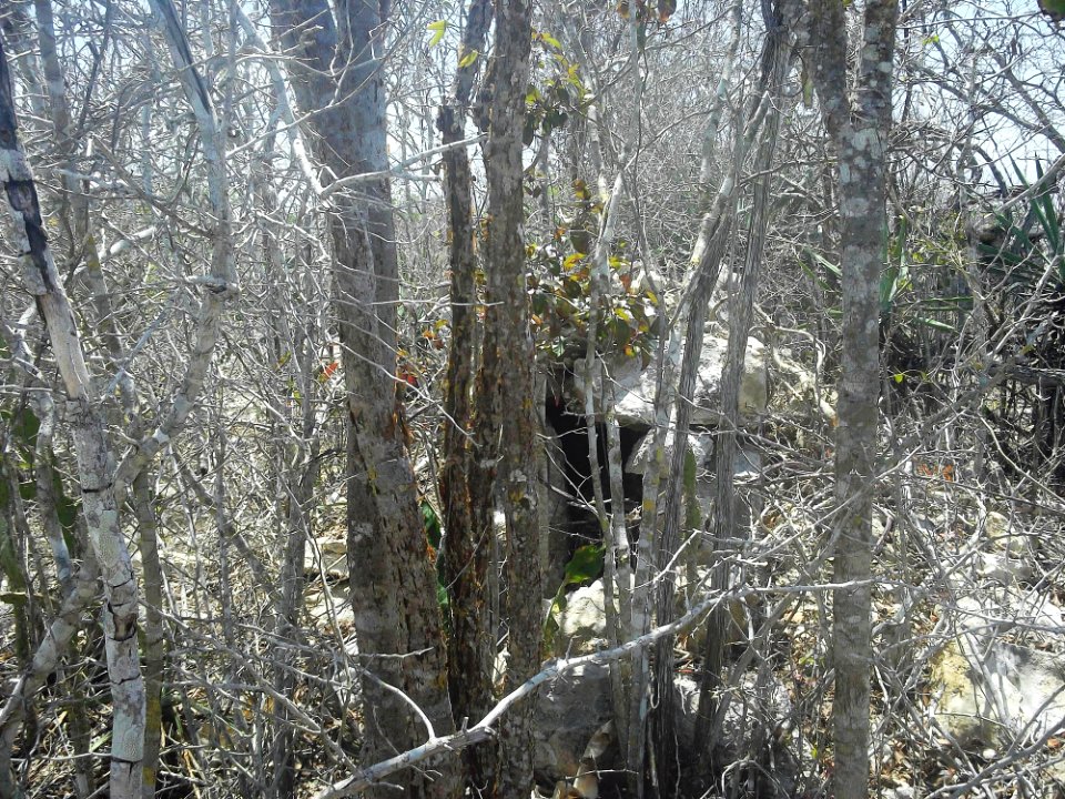Chicxulub Puerto, Yucatán (15)
