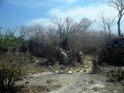 Chicxulub Puerto, Yucatán (09)