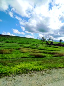 Chiang Rai, 2018050306