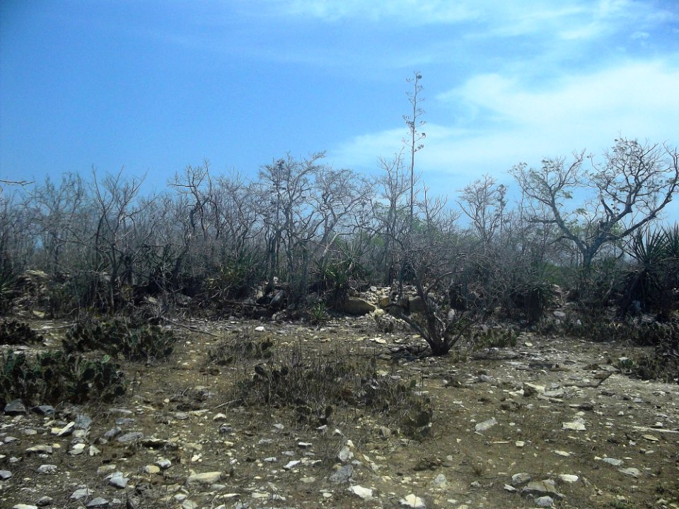 Chicxulub Puerto, Yucatán (10)