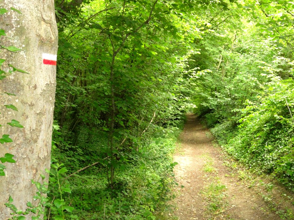 Chavigny (Aisne) le GR 12 passe à Chavigny
