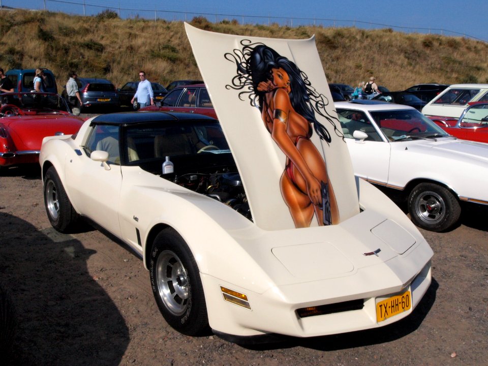 Chevrolet Corvette dutch licence registration TX-HH-60 pic2