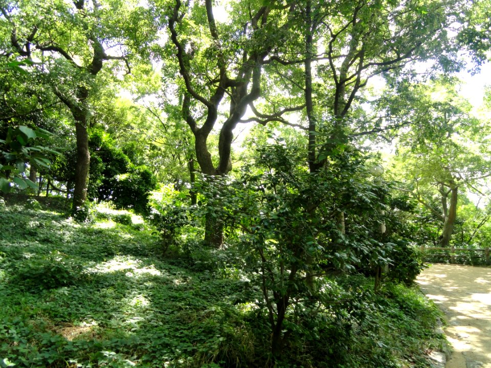 Chausuyama battlefield, May 1615, Osaka - DSC05814