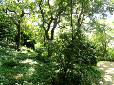 Chausuyama battlefield, May 1615, Osaka - DSC05814