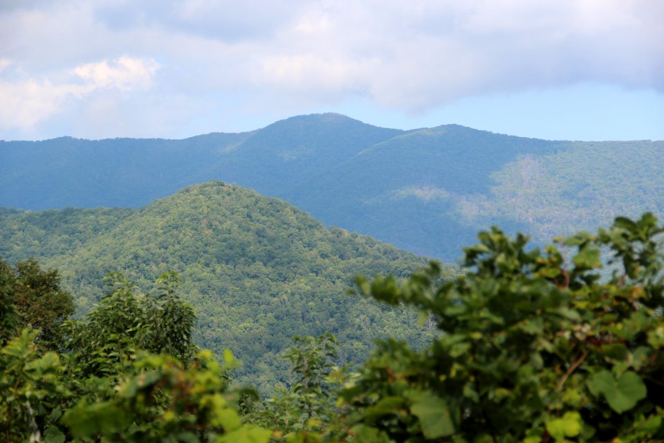Cherohala Skyway - Shute Cove view, Sept 2019 1