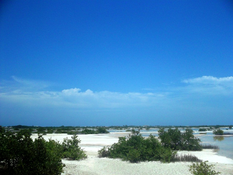 Chicxulub Puerto, Yucatán (26)