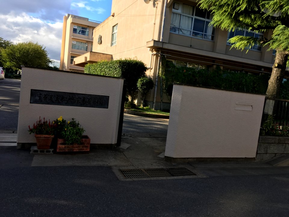 Chiba matsudo mutsumi highschool02