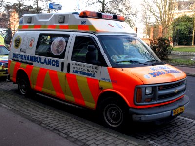 Chevrolet Dierenambulance 'Pupielance', Amsterdam, The Netherlands pic2