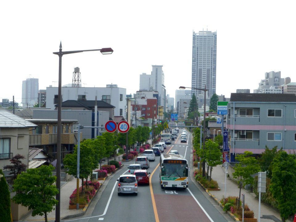 Chiba Flower Bus in R126 Chiba-city