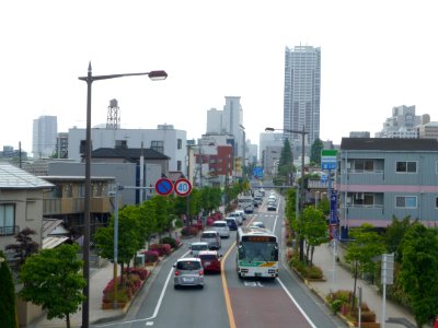 Chiba Flower Bus in R126 Chiba-city
