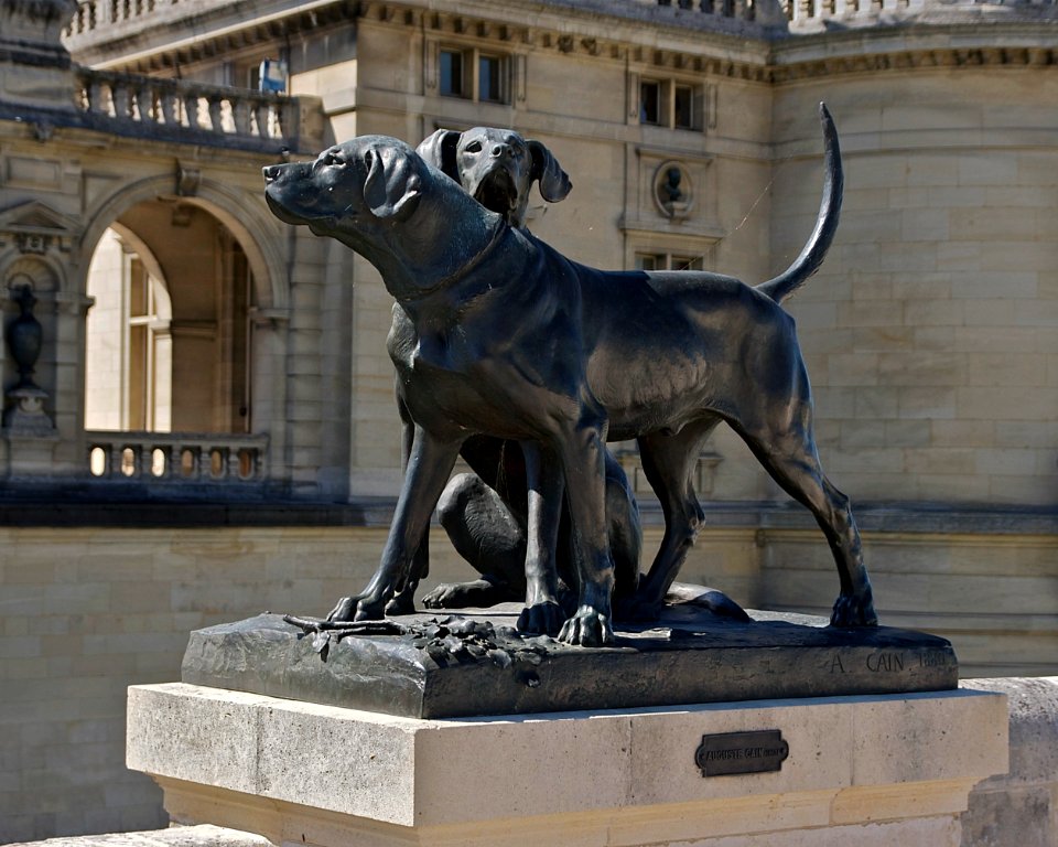 Chiens Cain Chantilly
