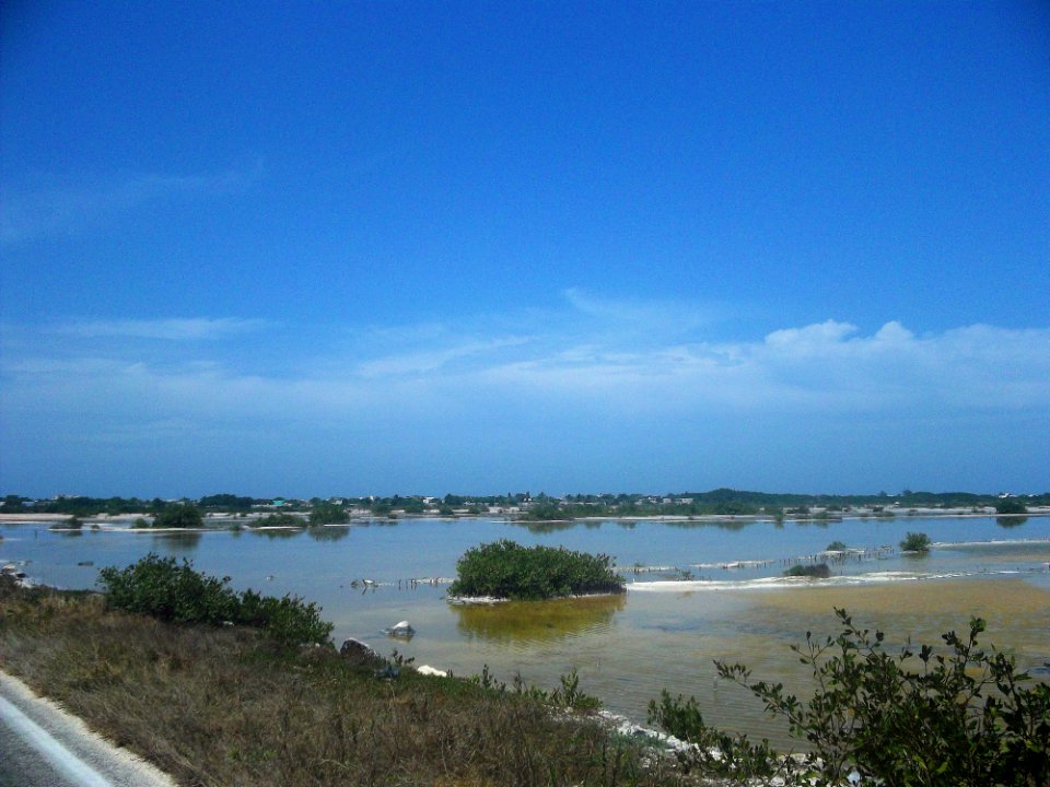 Chicxulub Puerto, Yucatán (02)