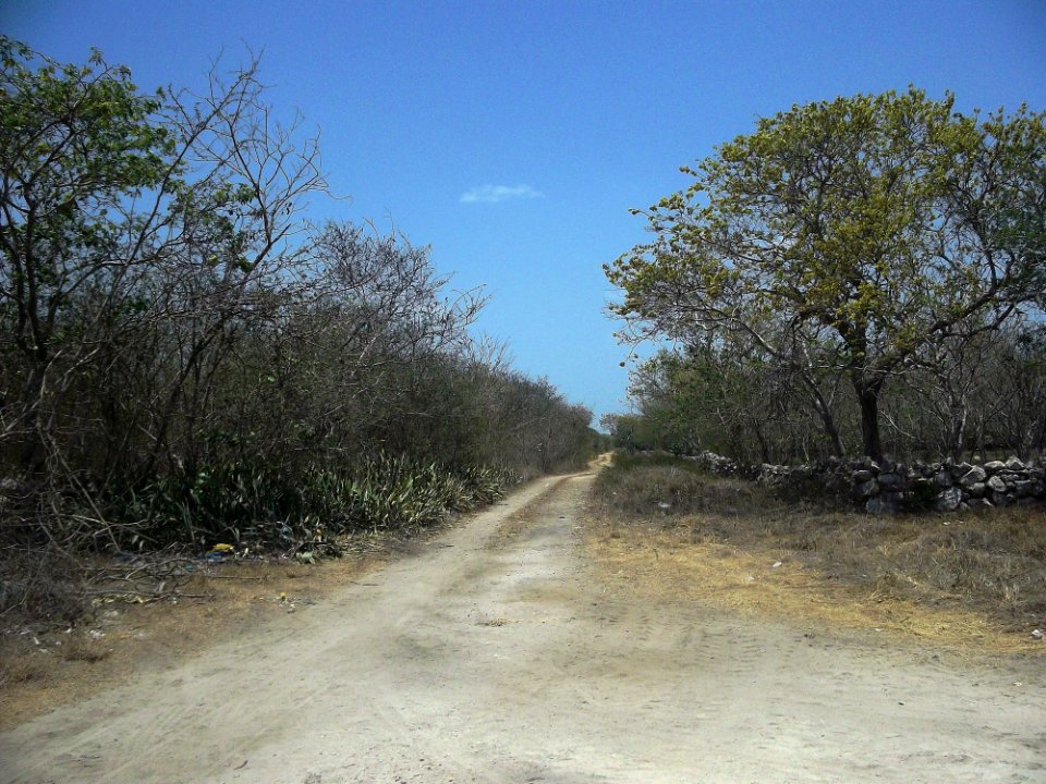 Chicxulub Pueblo, Yucatán (11)