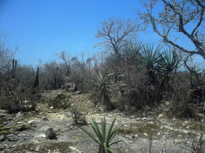 Chicxulub Puerto, Yucatán (13)