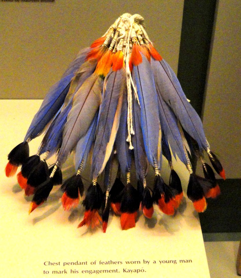 Chest pendant, feathers, Kayapo - AMNH - DSC06174