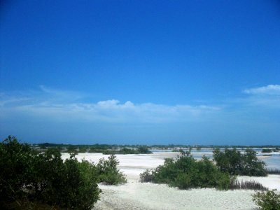 Chicxulub Puerto, Yucatán (01)