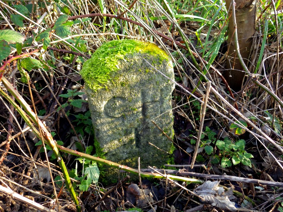CHI Boundary Stone, Bulverhythe