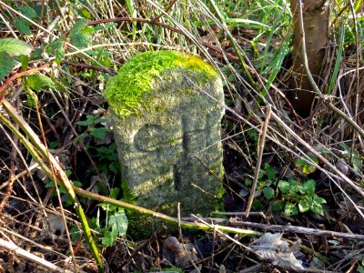 CHI Boundary Stone, Bulverhythe