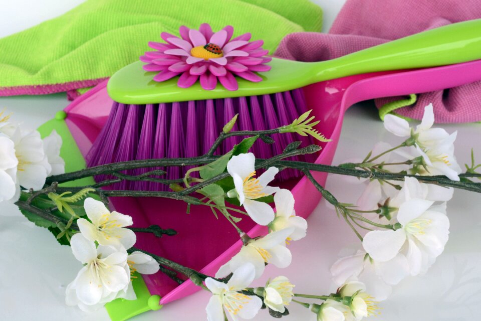 Broom kehrset flowers