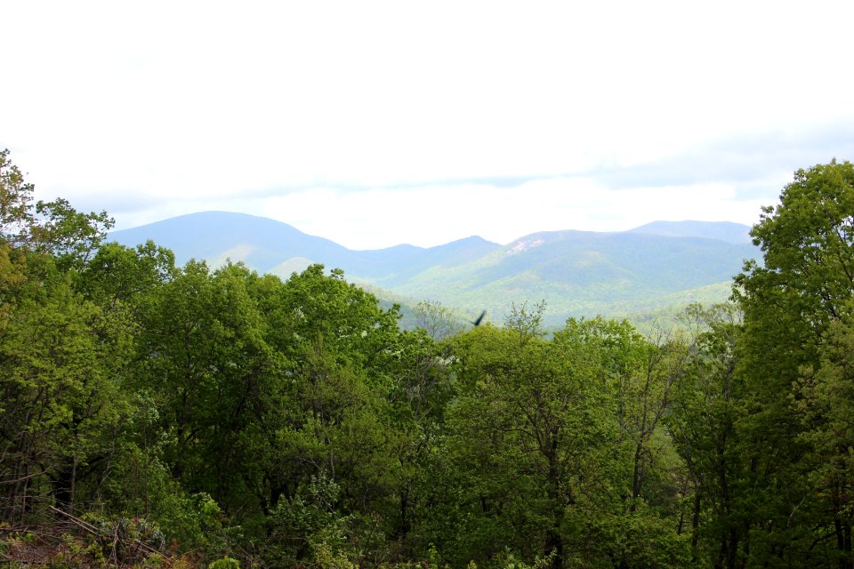 Chestatee Overlook, April 2017