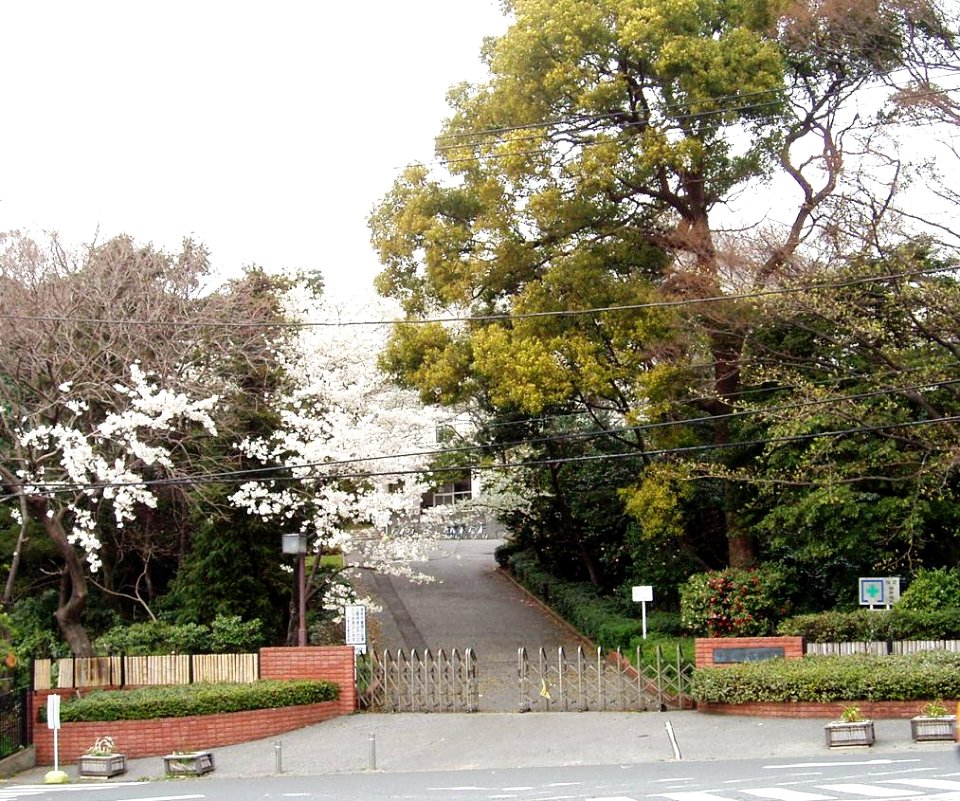 Chiba-Univ-Faculty-of-Horticulture01