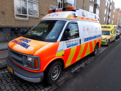 Chevrolet Dierenambulance 'Pupielance', Amsterdam, The Netherlands pic1