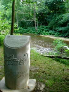 Chemins de l'Astrée, Le Lignon, Celadon sauvé par les nymphes