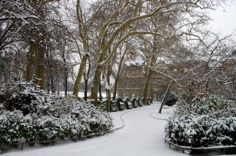 Chemin vers le Sénat sous la neige