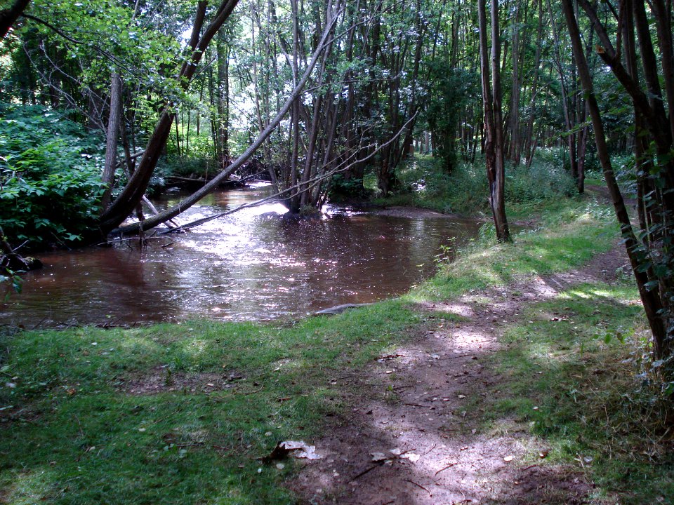 Chemins de l'Astrée, Le Lignon 1