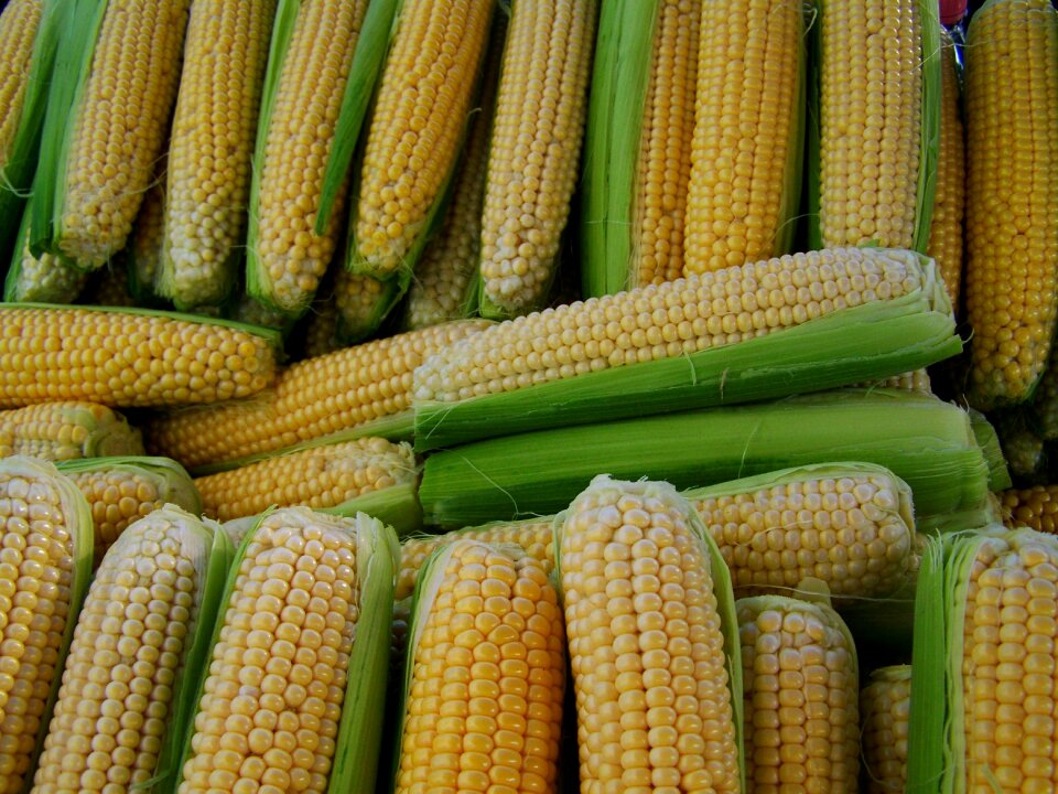 Corn dessert food
