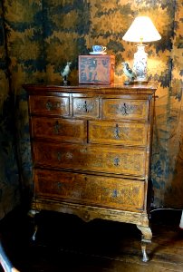 Chest of drawers stand, 1689-1695, burr elm - Packwood House - Warwickshire, England - DSC08939