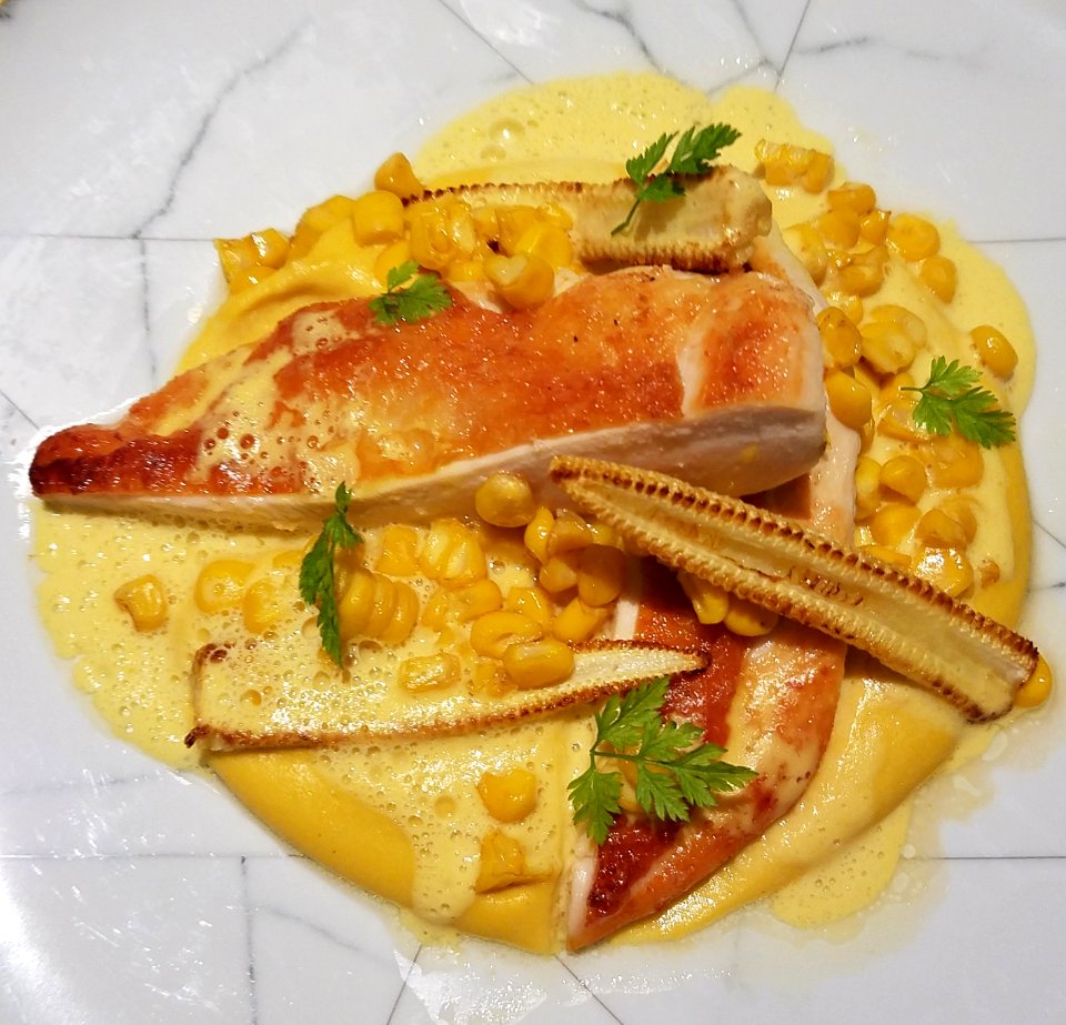 Chicken breast, corn, and mashed potatos - Porto, Portugal