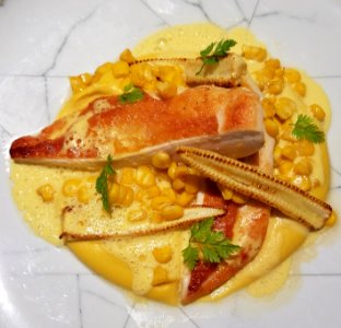 Chicken breast, corn, and mashed potatos - Porto, Portugal