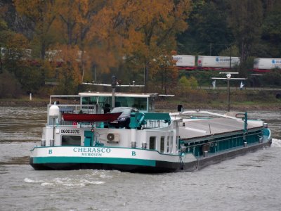 Cherasco, ENI 06003376 on the Rhine river the Loreley, pic4
