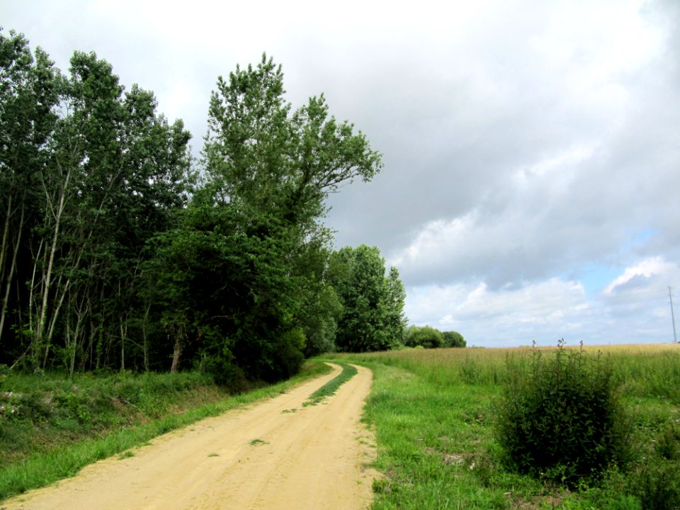 Chemin dans le Loire et Cher