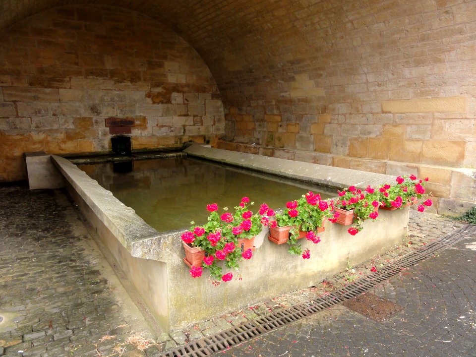 Chenières (Meurthe-et-M.) lavoir (02)
