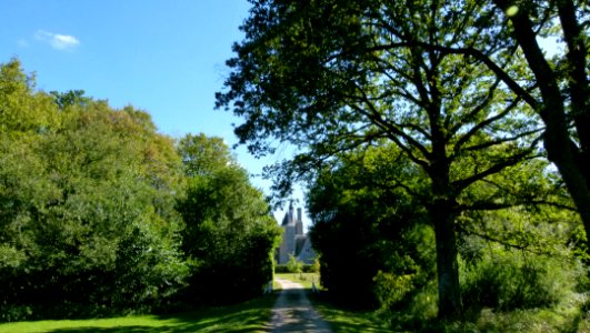 Chemin menant au Château du Moulin
