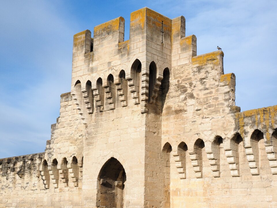Defense ornament avignon
