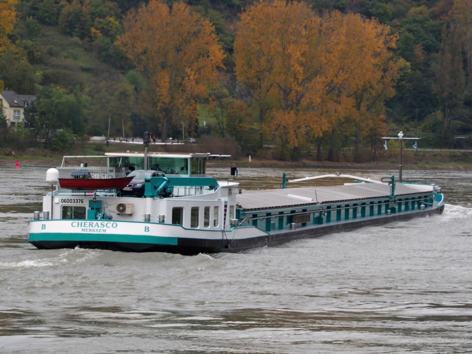 Cherasco, ENI 06003376 on the Rhine river the Loreley, pic3