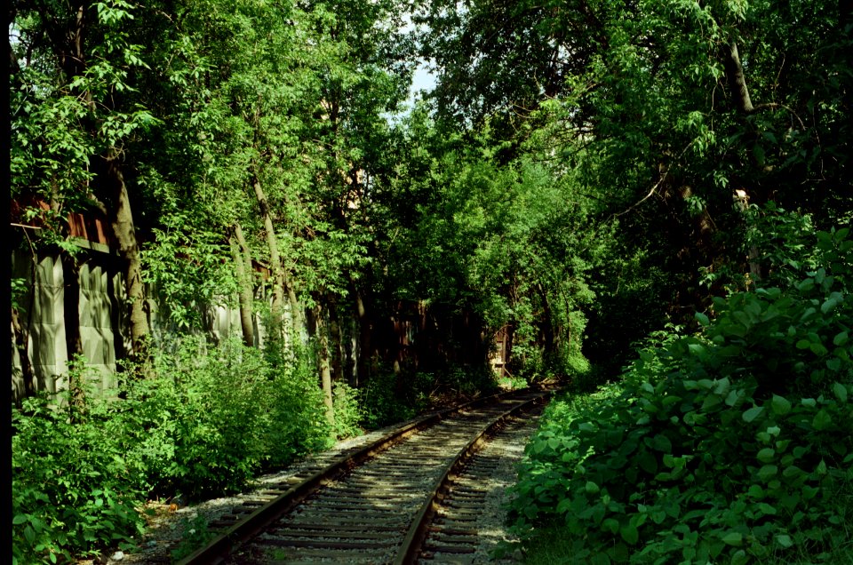 Cherkizovo - Elektrozavod railway 2020-07 2
