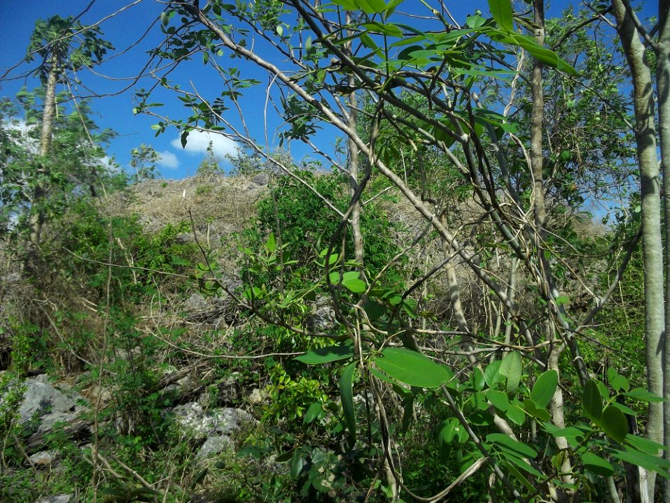 Chichí Suárez, Yucatán (11)