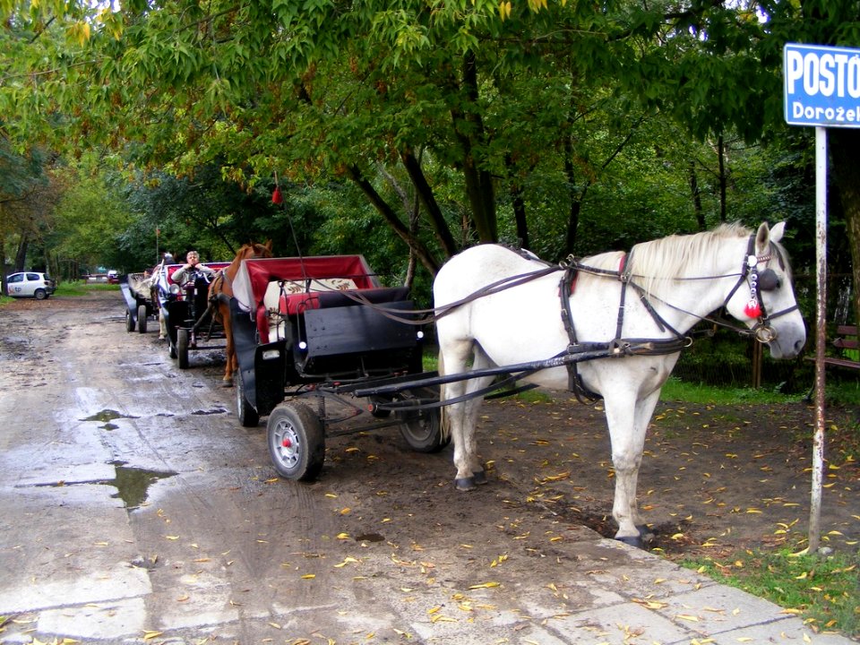 CIECHOCINEK, AB. 007