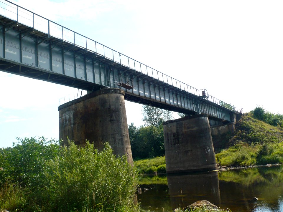 Cherkha 2011-08-05 16-24